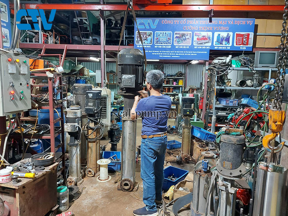 Sửa máy bơm nước - Thay phớt máy bơm trục đứng Ewara